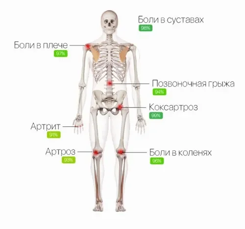 Hondrostrong : gdje kupiti u Hrvatskoj, u ljekarni?