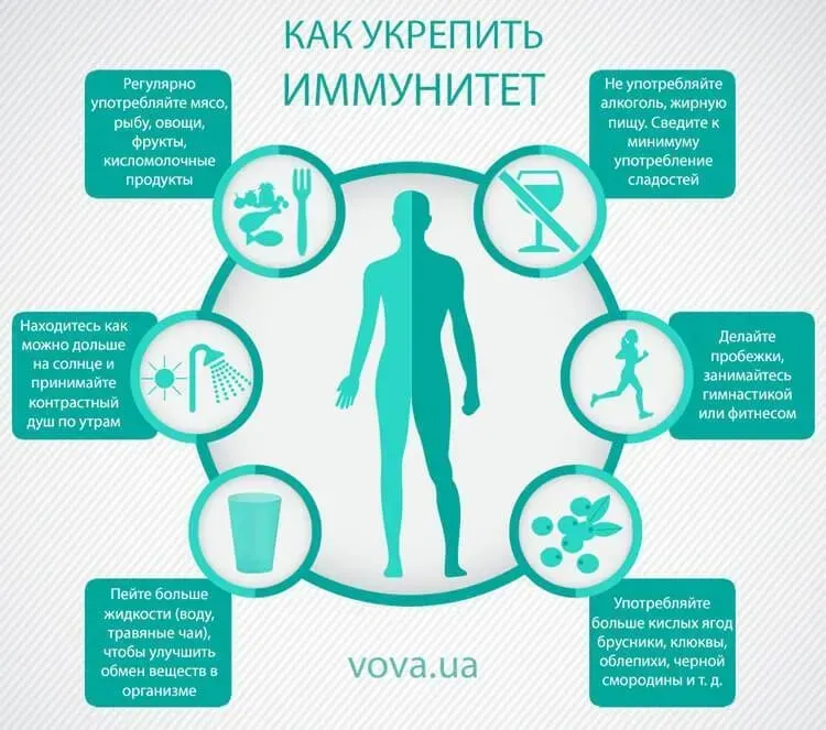 Nefro aktiv : sastav samo prirodni sastojci.